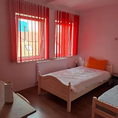 Casa Vlaicu בית הארחה