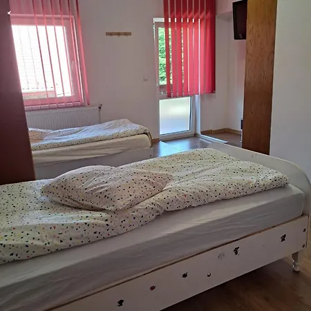 Casa Vlaicu Guest house Brasov