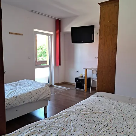 Casa Vlaicu בית הארחה 3*
