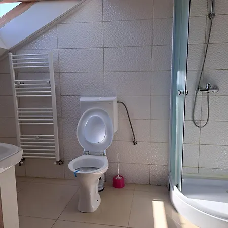 Casa Vlaicu בראשוב