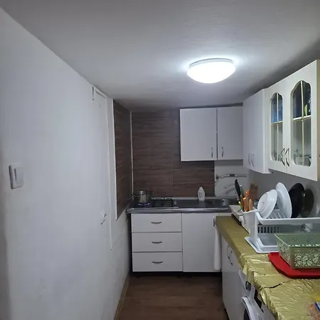 Casa Vlaicu בית הארחה בראשוב