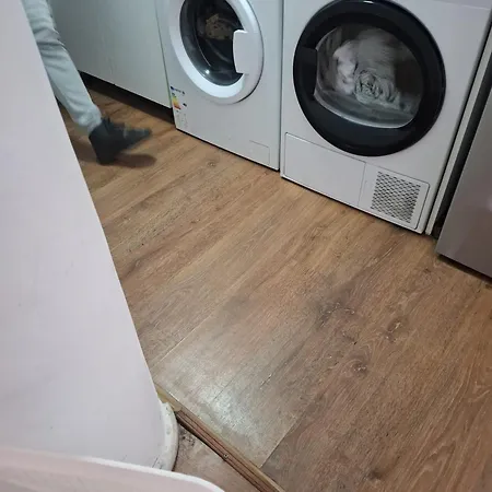 Affittacamere Casa Vlaicu