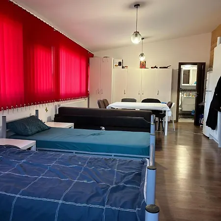 Casa Vlaicu Guest house *