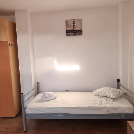 Casa Vlaicu בית הארחה