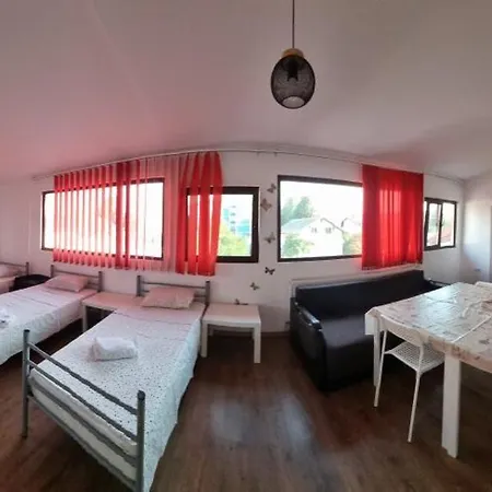 בית הארחה Casa Vlaicu בראשוב