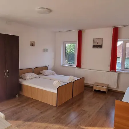 Casa Vlaicu בית הארחה