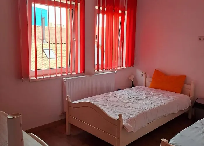 Casa Vlaicu Guest house