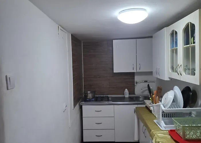 Casa Vlaicu Guest house Brasov